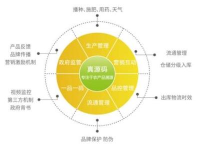 惠農網申斌談農業電商發展 打好品牌管理“組合拳”是關鍵